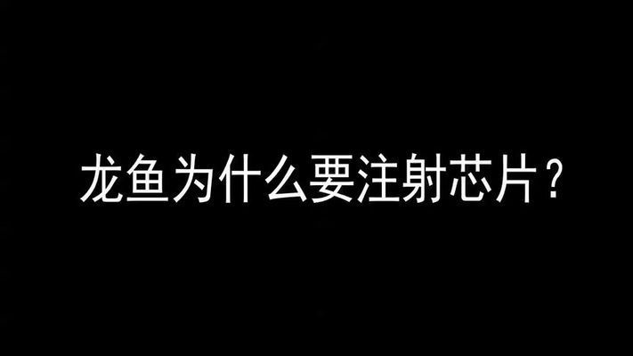 紅龍魚的芯片是怎么回事：關于紅龍魚芯片的詳細介紹