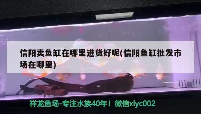 信陽賣魚缸在哪里進(jìn)貨好呢(信陽魚缸批發(fā)市場在哪里)