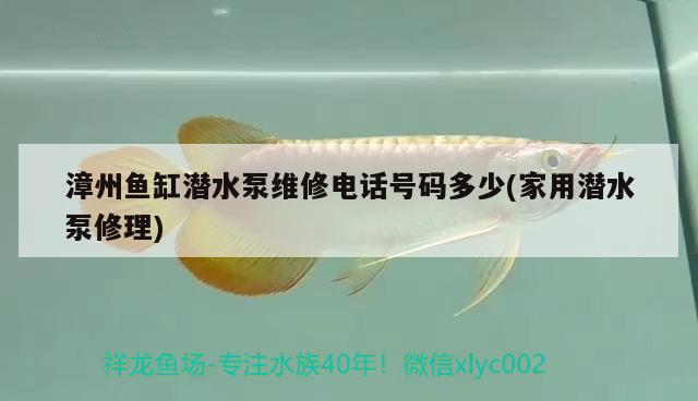 <strong><mark>漳州</mark></strong>魚缸潛水泵維修電話號碼多少(家用潛水泵修理)