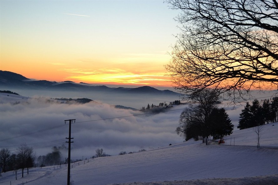 森森魚缸型號怎么看？