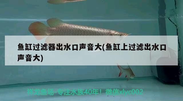 魚缸過濾器出水口聲音大(魚缸上過濾出水口聲音大)