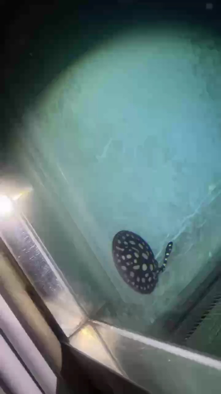 萬事皆宜