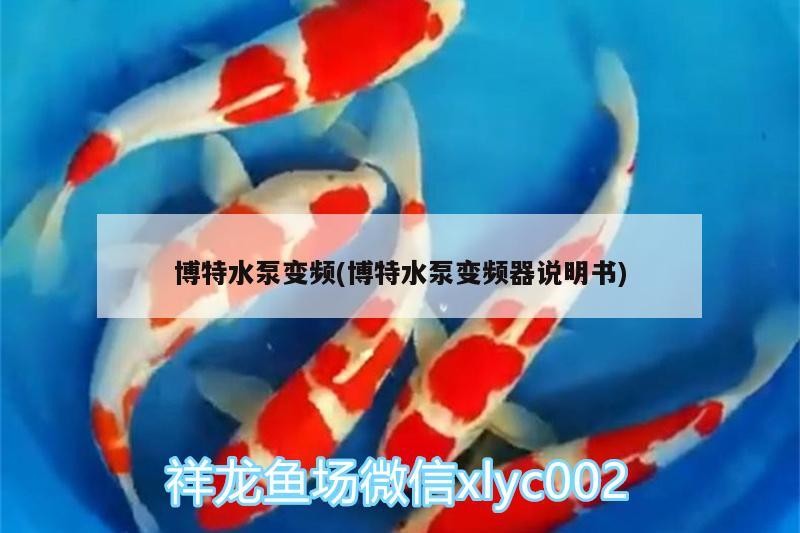 博特水泵變頻(博特水泵變頻器說明書)