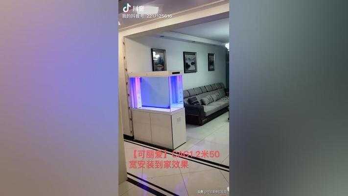 什么觀賞魚膽大（什么觀賞魚膽大又好養）