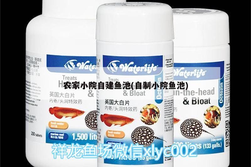 農家小院自建魚池(自制小院魚池)