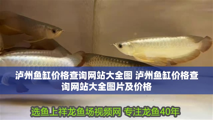 瀘州紅龍魚價格2688貴嗎？