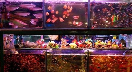 超市海鮮魚缸水循環設計圖：超市海鮮池水循環系統的原理和作用