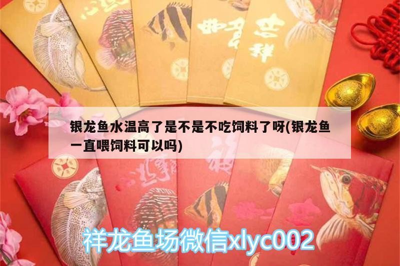 銀龍魚水溫高了是不是不吃飼料了呀(銀龍魚一直喂飼料可以嗎)