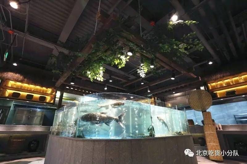 愛上魚魚缸怎么樣：愛上魚魚缸體驗館愛上魚魚缸體驗館愛上魚魚缸體驗館