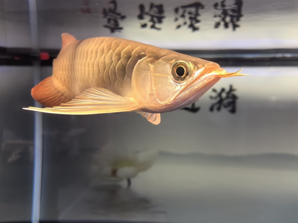 堅持愛好！