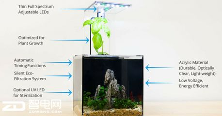 不換水不過濾的生態(tài)魚缸：如何建立一個不換水不過濾的生態(tài)魚缸 不換水不過濾的生態(tài)魚缸：如何建立一個不換水不過濾的生態(tài)魚缸 魚缸百科 第1張