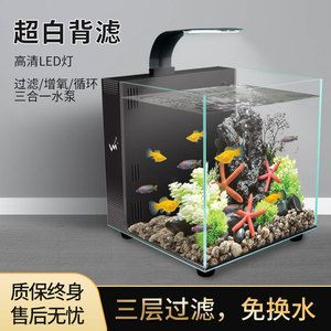 不換水不過濾的生態(tài)魚缸：如何建立一個不換水不過濾的生態(tài)魚缸 不換水不過濾的生態(tài)魚缸：如何建立一個不換水不過濾的生態(tài)魚缸 魚缸百科 第3張