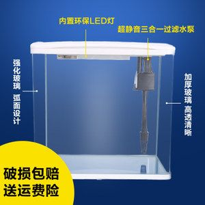 玻璃魚缸怎么開洞視頻：如何在玻璃魚缸上開洞