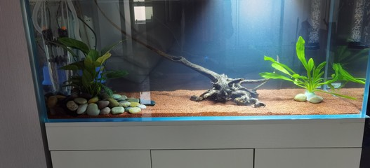 東莞魚缸廠家直銷電話多少號（東莞魚缸廠家直銷電話多少號碼）