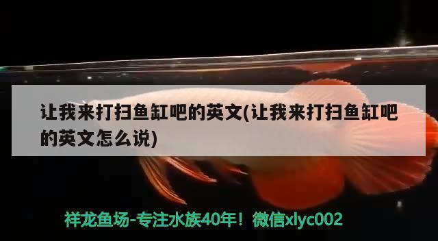讓我來打掃魚缸吧的英文(讓我來打掃魚缸吧的英文怎么說)