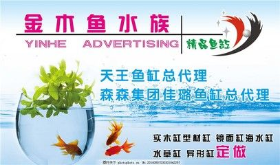 森森水族集團宣片：有關森森水族集團的宣傳片有多個資源可供觀看 森森水族集團宣片：有關森森水族集團的宣傳片有多個資源可供觀看 森森魚缸