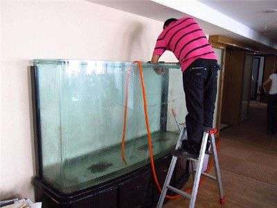 徹底清洗魚缸：如何清洗魚缸？