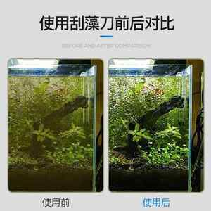 徹底清洗魚缸：如何清洗魚缸？