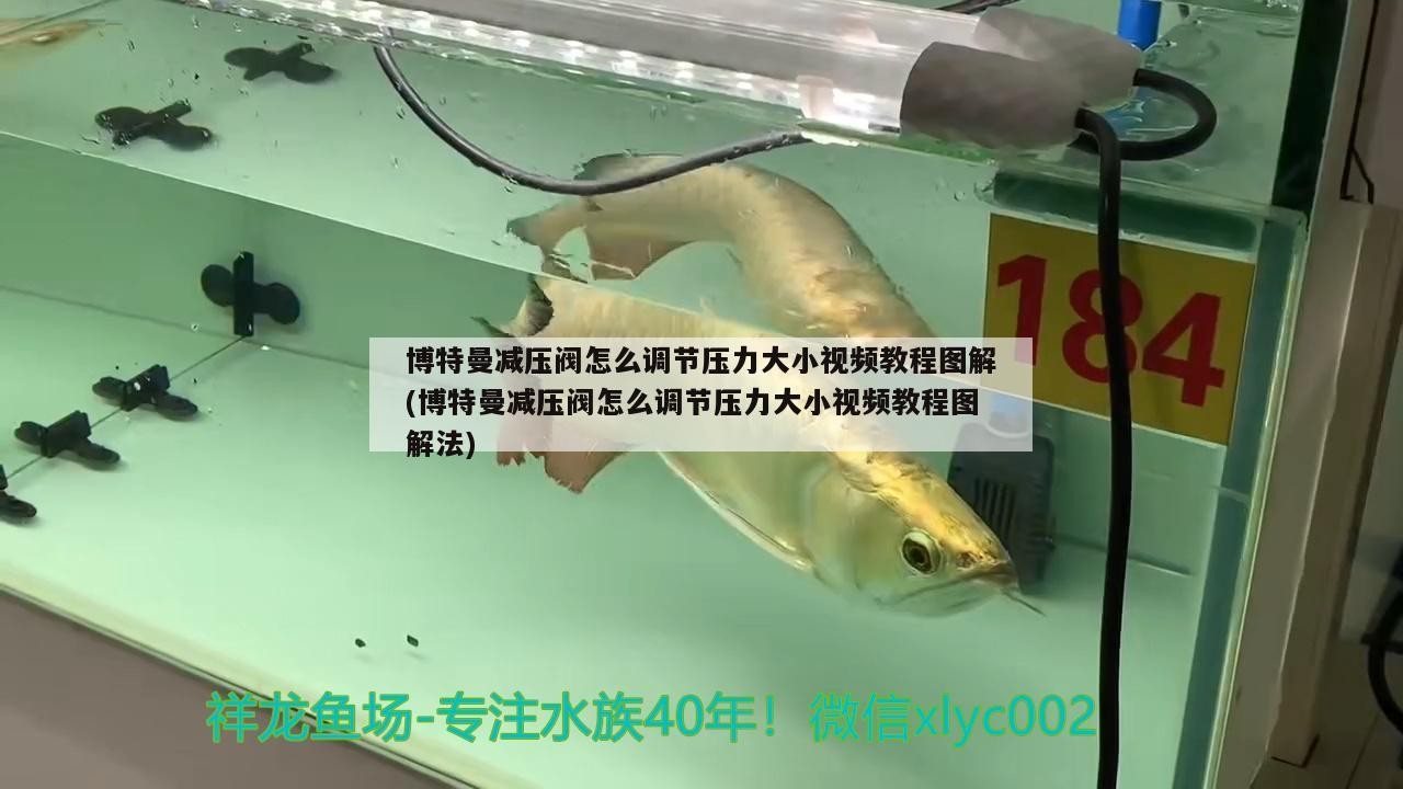 博特曼減壓閥怎么調節壓力大小視頻教程圖解(博特曼減壓閥怎么調節壓力大小視頻教程圖解法)