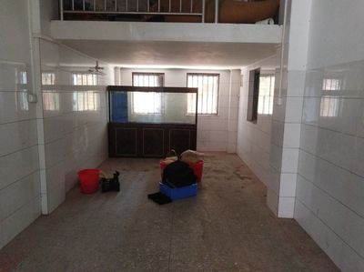 大型魚缸搬運費：大型魚缸搬運費用主要取決于魚缸的大小和搬家公司的一些定價策略