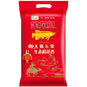 龍魚上午趴缸下午就沒事了怎么回事(龍魚晚上趴缸怎么回事) 龍魚上午趴缸下午就沒事了怎么回事(龍魚晚上趴缸怎么回事) 觀賞魚百科