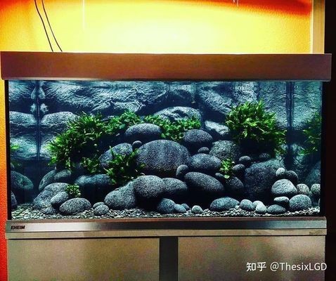 魚缸底柜承重哪種材質好