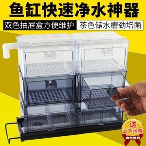 茶色玻璃魚缸適合養什么魚：什么樣的魚適合在茶色玻璃魚缸中飼養？