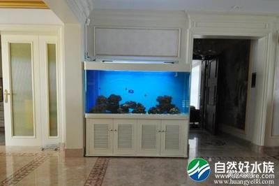 大型錦鯉魚缸設計效果圖：大型錦鯉魚缸設計效果圖錦鯉魚池設計與建造標準