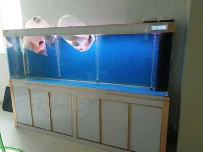 1.2米魚缸下多少鹽：1.2米長的魚缸下鹽量可以根據以下幾個方面來計算