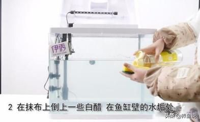 玻璃魚缸如何清洗水垢：如何清洗玻璃魚缸中的水垢