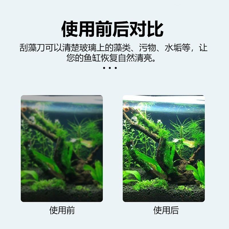 玻璃魚缸如何清洗水垢：如何清洗玻璃魚缸中的水垢