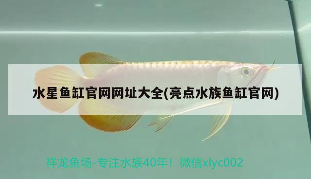 水星魚缸官網(wǎng)網(wǎng)址大全(亮點(diǎn)水族魚缸官網(wǎng))