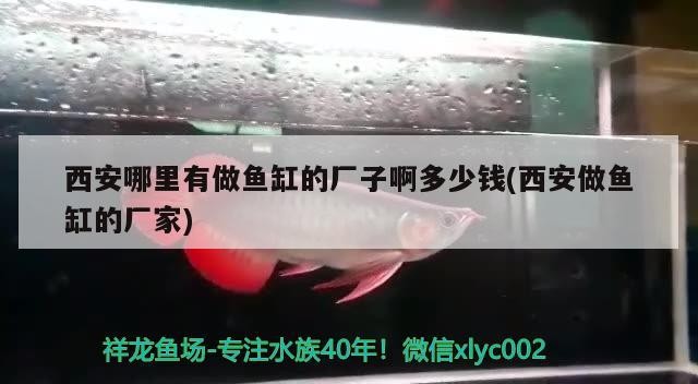 西安哪里有做魚缸的廠子啊多少錢(西安做魚缸的廠家)