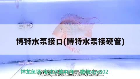 詳細(xì)閱讀:博特水泵接口(博特水泵接硬管) 博特水泵接口(博特水泵接硬管)