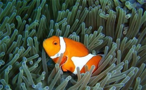 天元區(qū)新海源水族館（天元區(qū)新海源水族館地址）