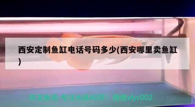 西安定制魚缸電話號碼多少(西安哪里賣魚缸)