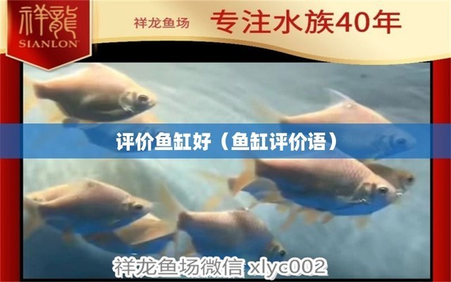 博特水泵變頻的是大品牌嗎（博特水泵變頻的是大品牌嗎還是小品）