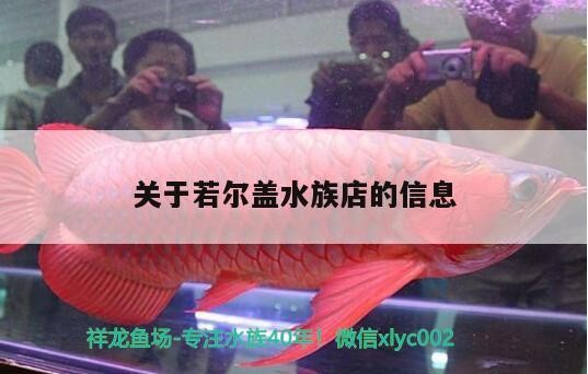 關于若爾蓋水族店的信息
