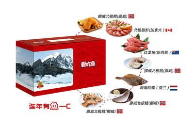 紅龍魚愛吃什么：紅龍魚喂食頻率指南，