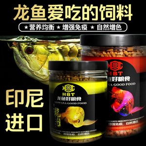 紅龍魚愛吃什么：紅龍魚喂食頻率指南，