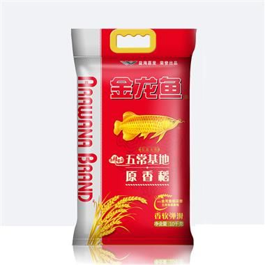 紅龍魚愛吃什么：紅龍魚喂食頻率指南，