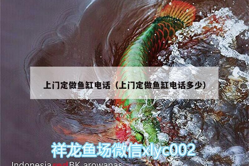 上門定做魚缸電話（上門定做魚缸電話多少）