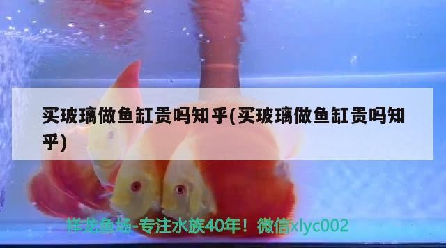 買玻璃做魚缸貴嗎知乎(買玻璃做魚缸貴嗎知乎)
