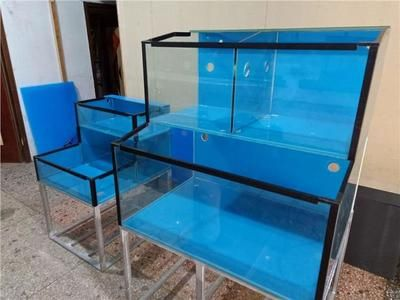 1.2米的魚缸有多重要：1.2米的魚缸有多重要，養魚前要先養水，
