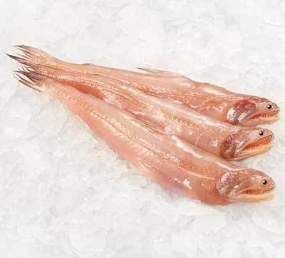 吃龍頭魚的害處