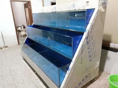 龍魚擺件多久換一次水，活龍魚時，魚缸多久換一次水，詳細解答