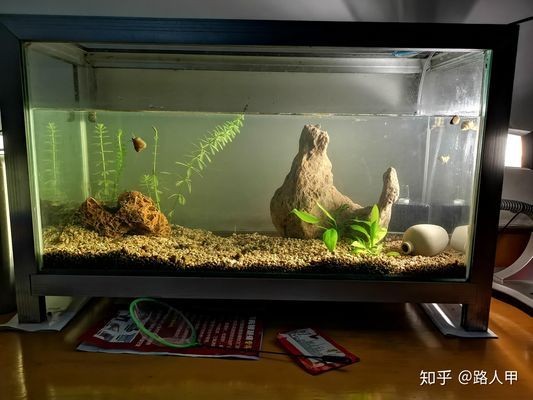 下花園魚樂園（下花園魚樂園足道電話）