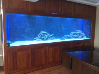 搬家魚缸和魚怎么處理比較好：大型魚缸搬運步驟大型魚缸搬運步驟大型魚缸搬運步驟