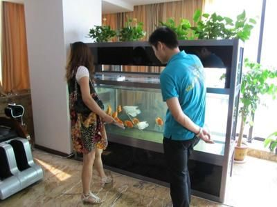 搬家魚缸和魚怎么處理比較好：大型魚缸搬運步驟大型魚缸搬運步驟大型魚缸搬運步驟