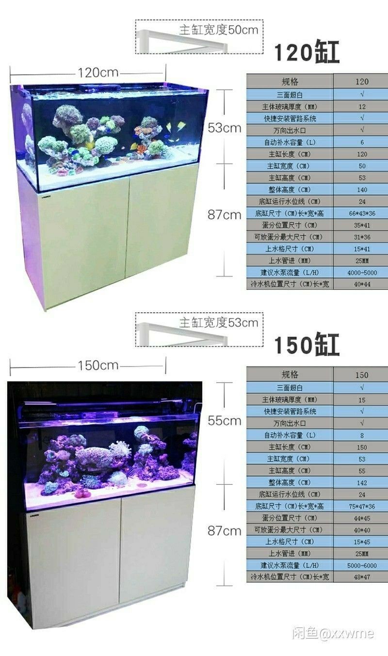 藍甸12米海水缸怎么樣？
